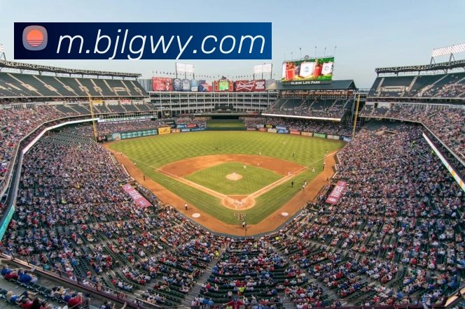 百家乐网站平台生态图