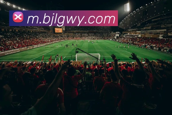 百家乐网站APP 封面图